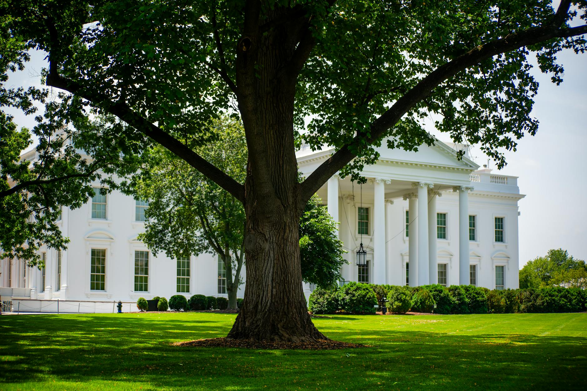 The White House framed by trees and greenery on a summer day in Washington, D.C.