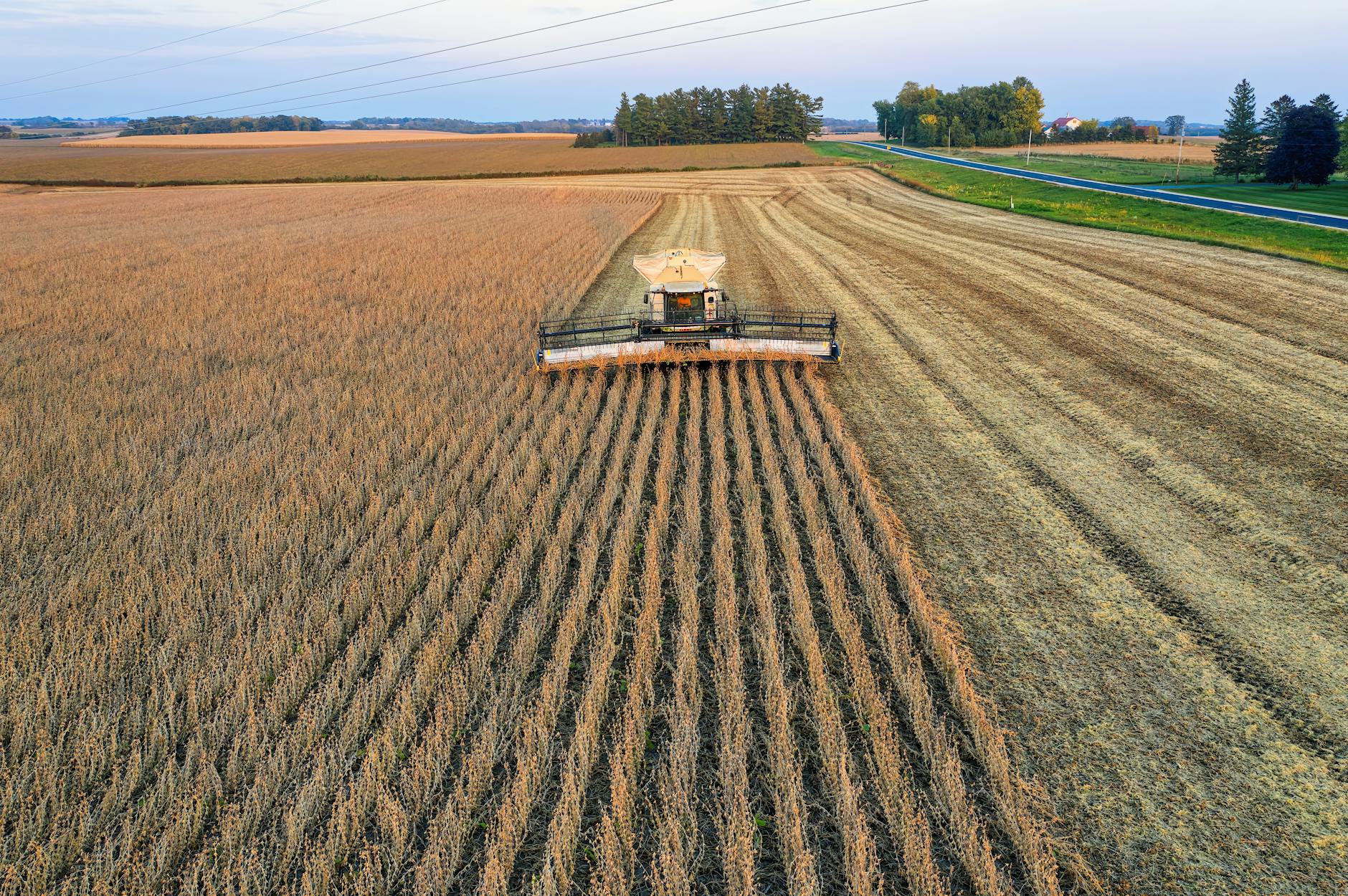 Farm machinery in a field