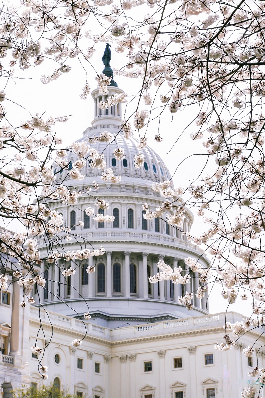 The US Capitol in Washington, where senators passed an immigration enforcement bill.